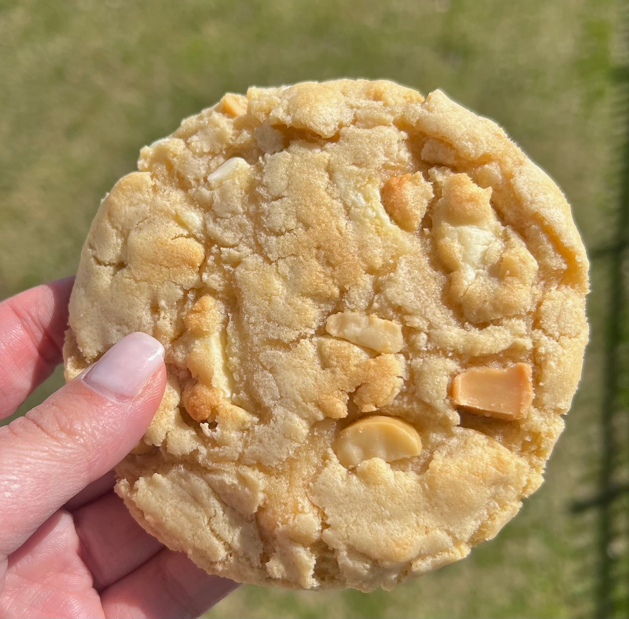 Single May cookies