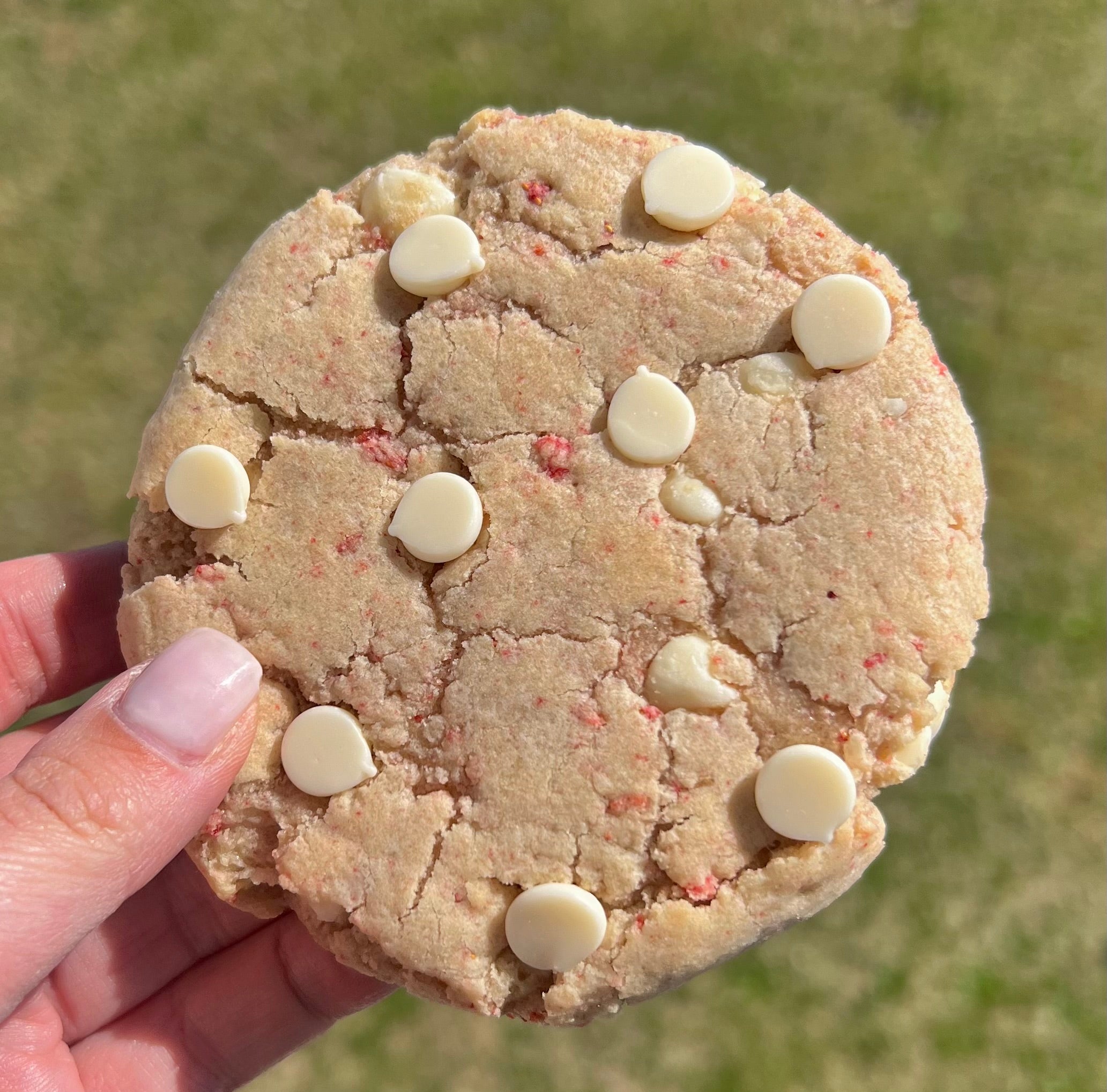 Single May cookies